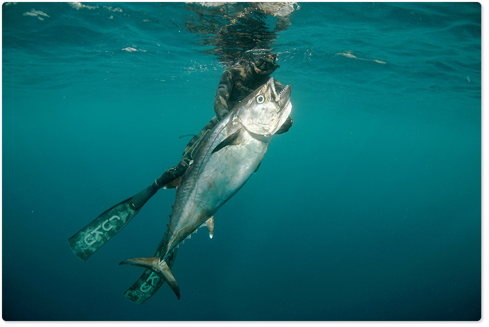 For the love of spearfishing - Our story